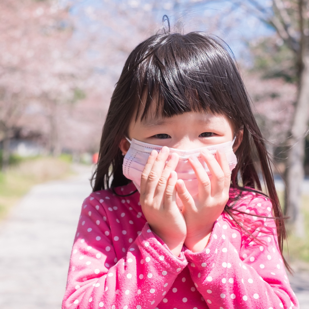 32話　花粉症と鍼灸