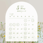 5月の予定