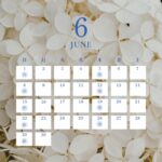 6月の予定