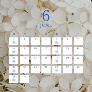 6月の予定