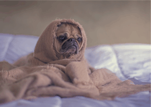 52話　12月の予定