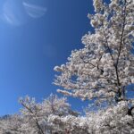 63話　GWのお知らせ