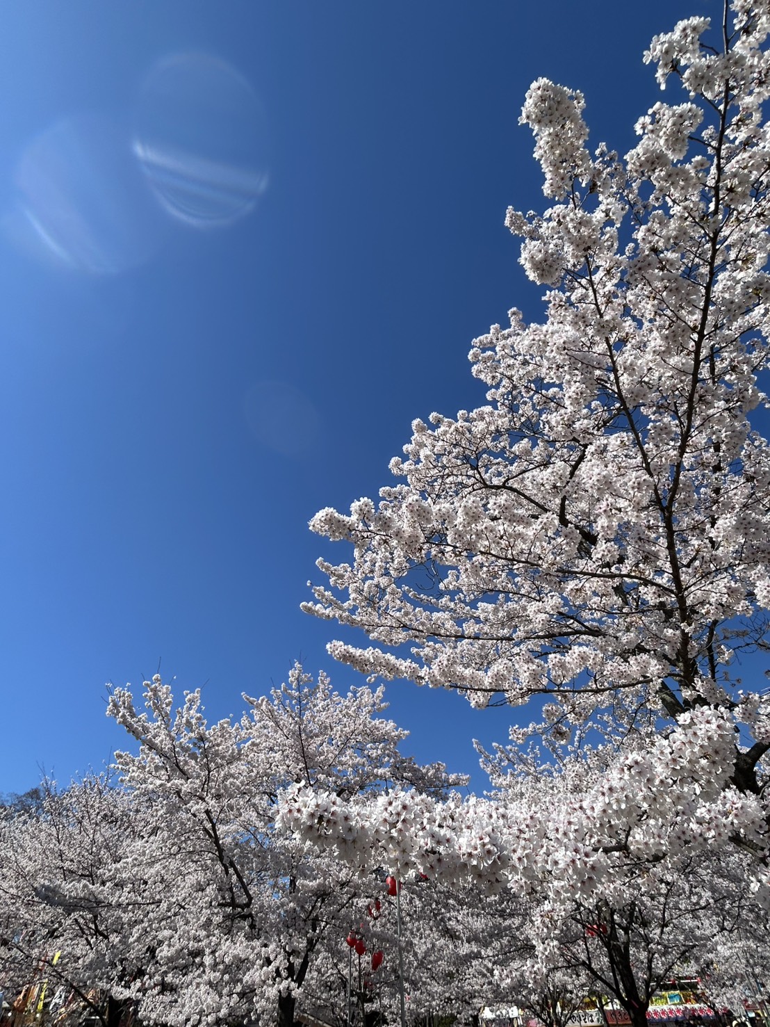 63話　GWのお知らせ